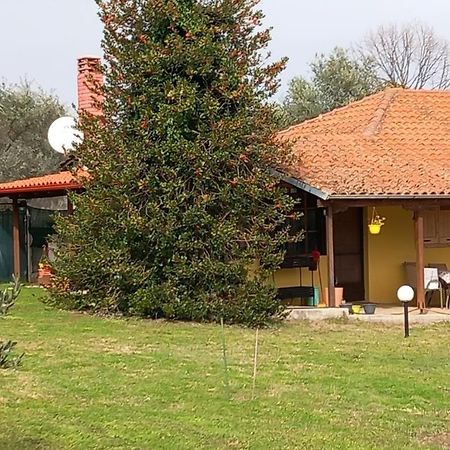 리토코론 Olympos House 빌라 외부 사진