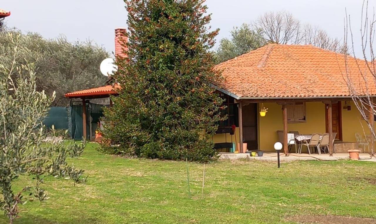 리토코론 Olympos House 빌라 외부 사진